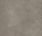Dove