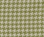 Fern