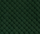 Pine