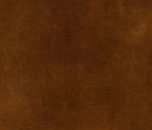 Cinnamon
