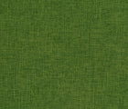 Fern