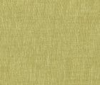 Wasabi