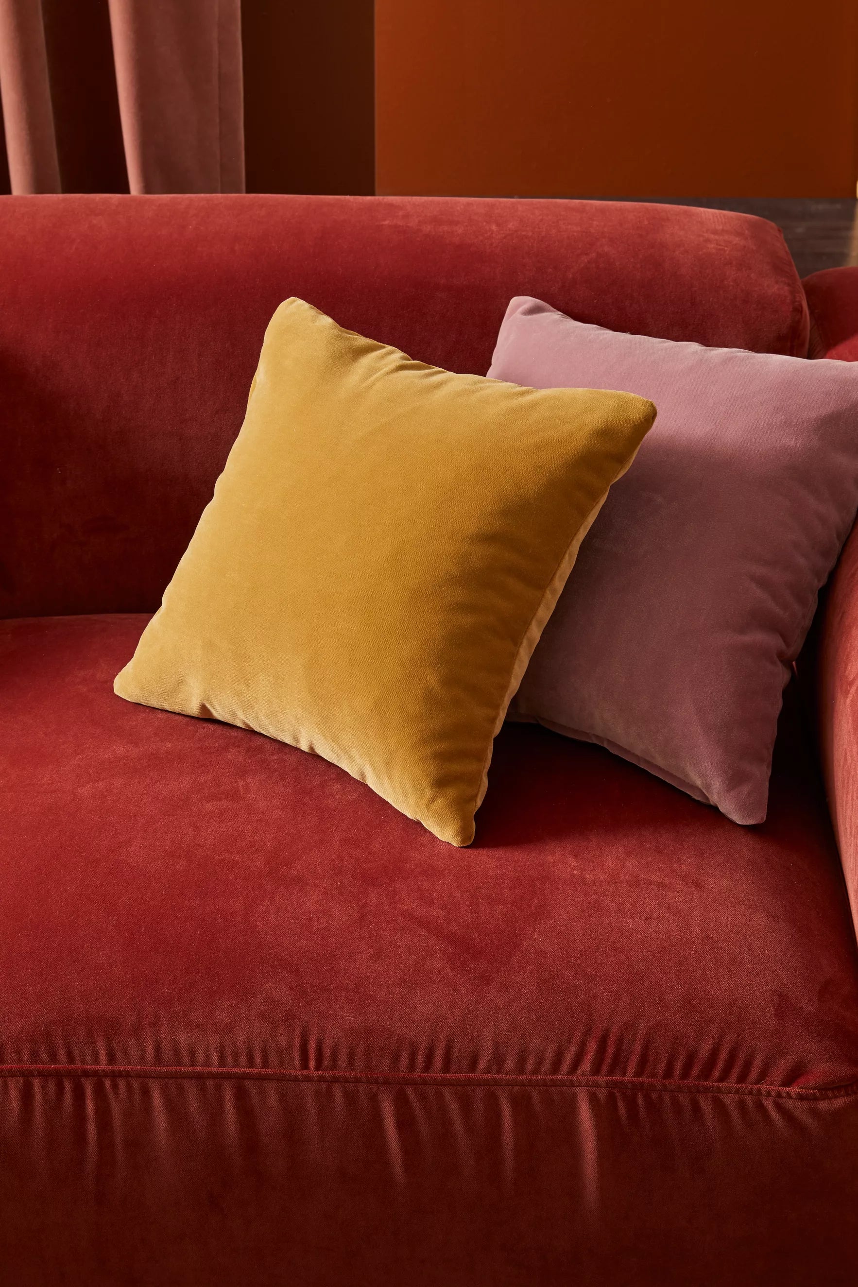 The Premium Collection