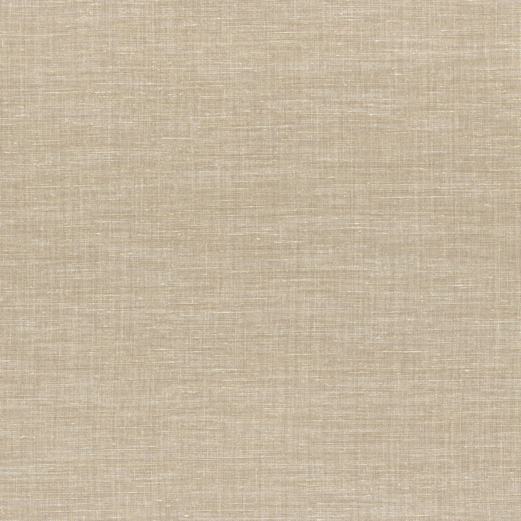 Shinok Champagne Wallpaper