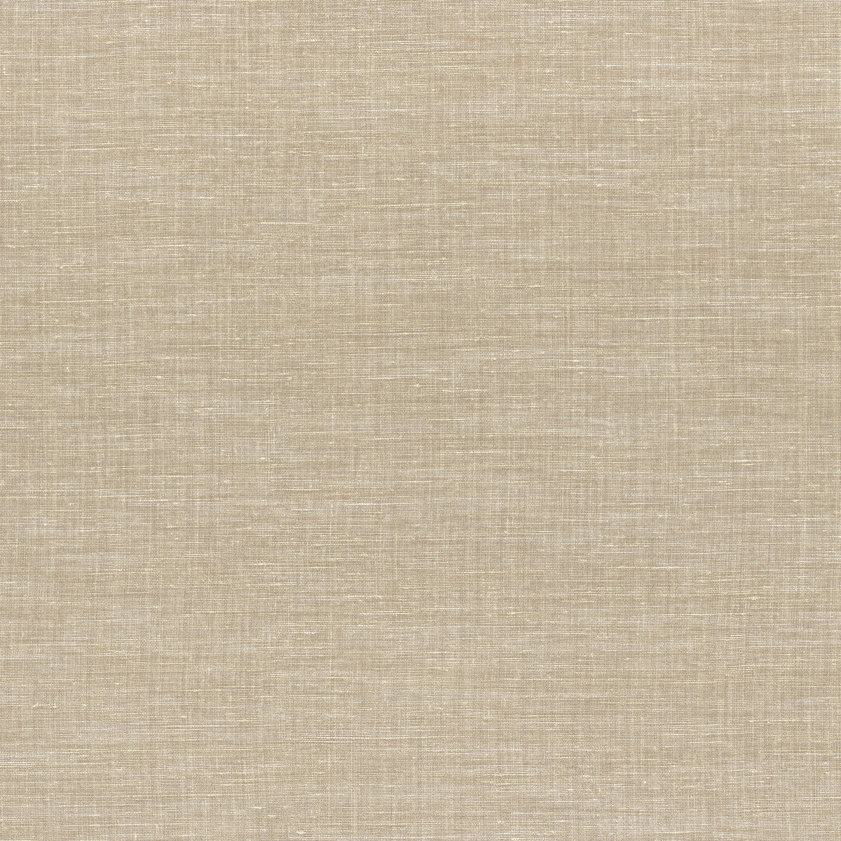 Shinok Champagne Wallpaper