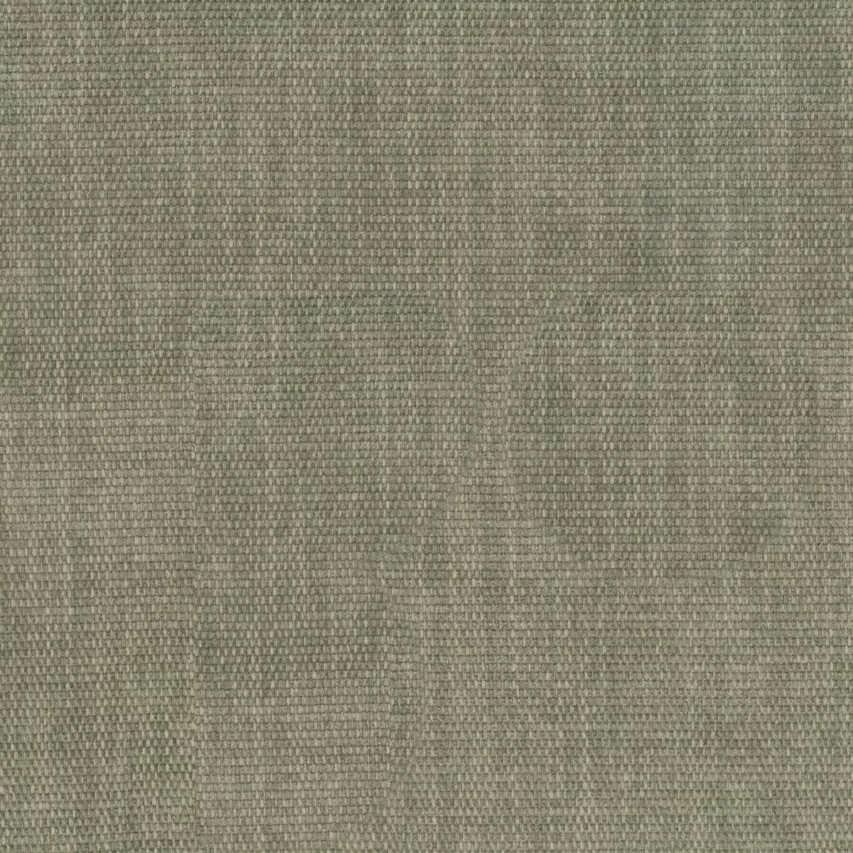 Copeland Eucalyptus fabric