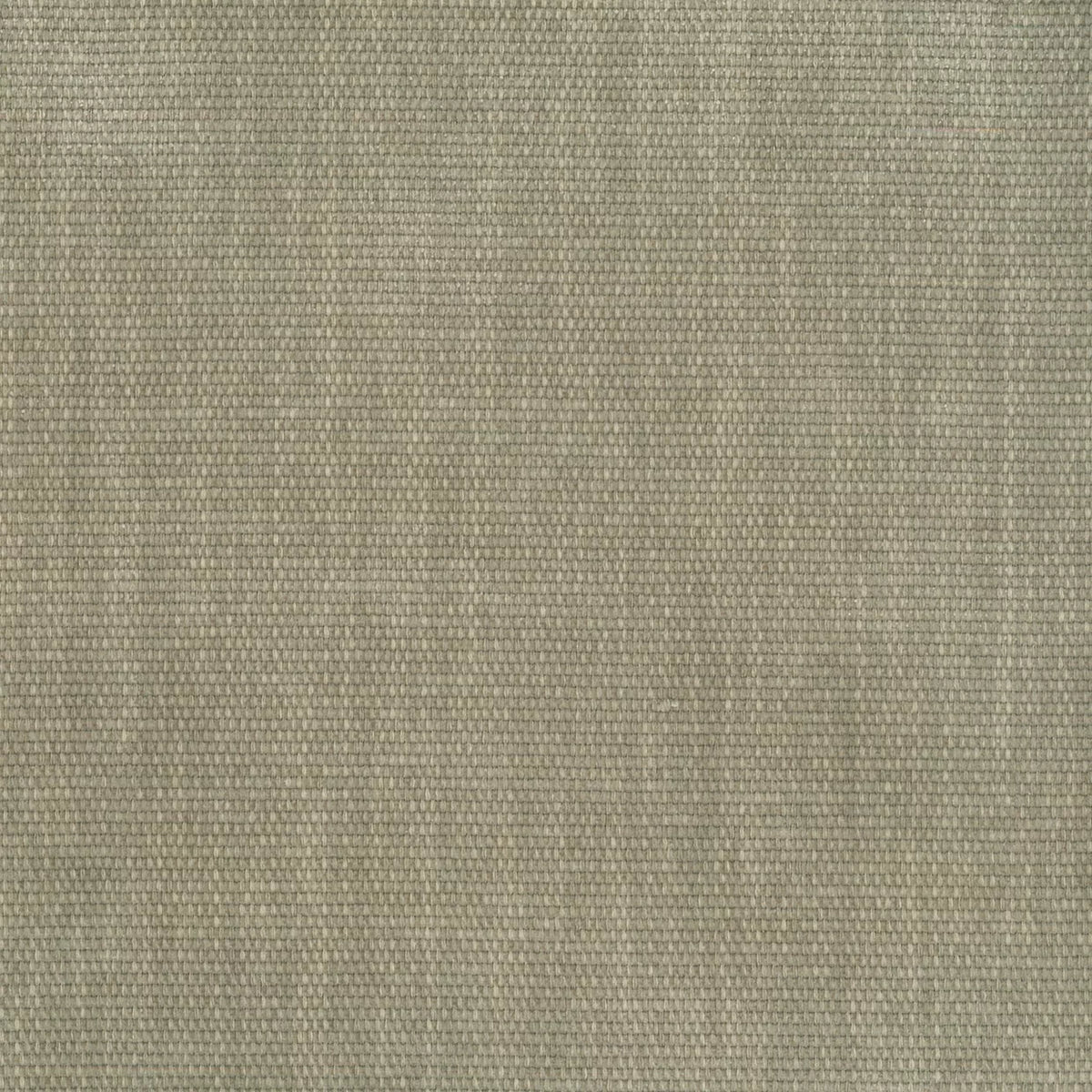 Copeland Birch fabric