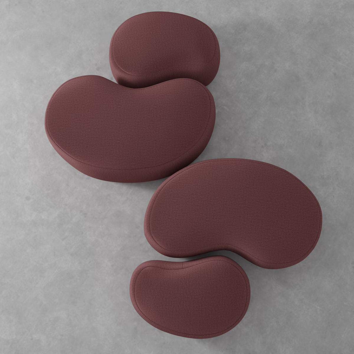Dion Orchid – view 2