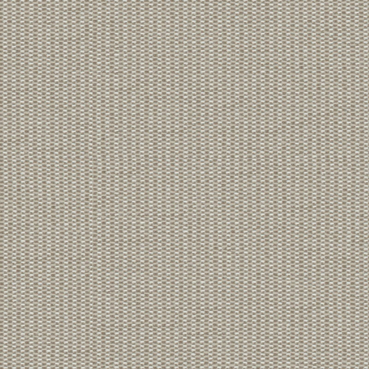 Upstage Fossil fabric