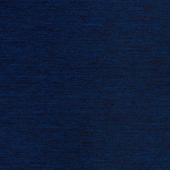 Lomani Navy fabric