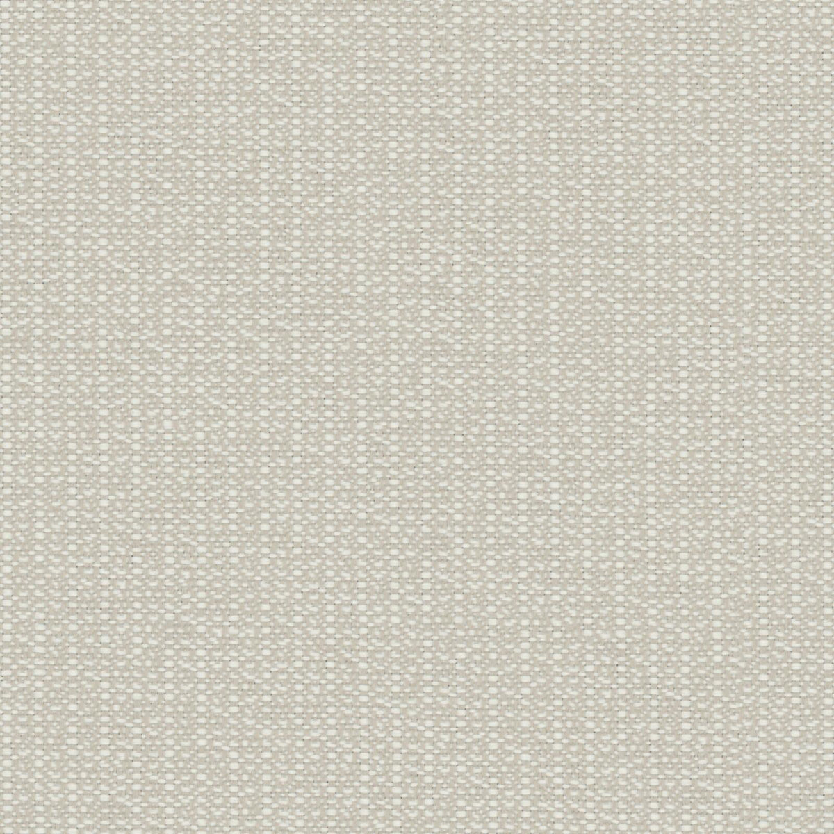 Exceed Shell fabric